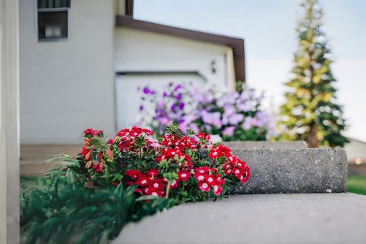 Unlocking Your Home's Potential: Elevating Curb Appeal