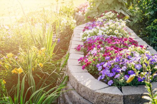 Enhancing Your Home's Curb Appeal Without Breaking the Bank